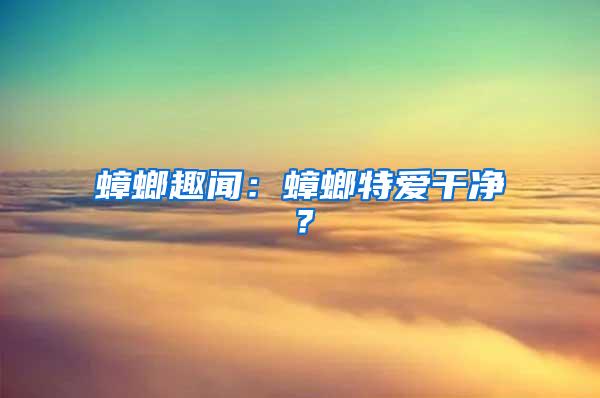 蟑螂趣聞：蟑螂特愛干凈？