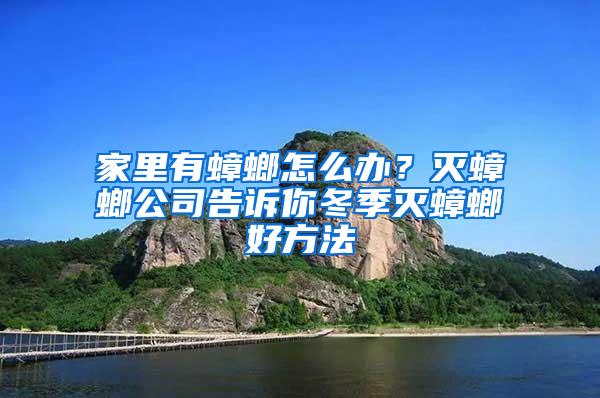 家里有蟑螂怎么辦？滅蟑螂公司告訴你冬季滅蟑螂好方法