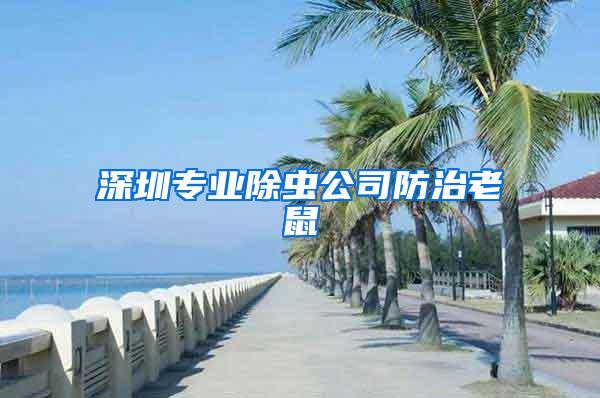 深圳專業(yè)除蟲公司防治老鼠