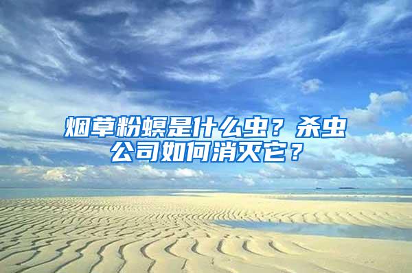 煙草粉螟是什么蟲？殺蟲公司如何消滅它？