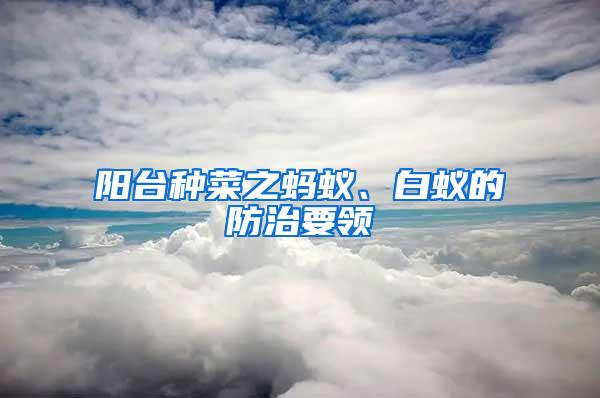 陽臺種菜之螞蟻、白蟻的防治要領(lǐng)