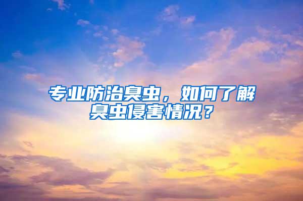 專業(yè)防治臭蟲，如何了解臭蟲侵害情況？