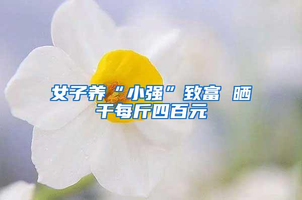 女子養(yǎng)“小強”致富 曬干每斤四百元