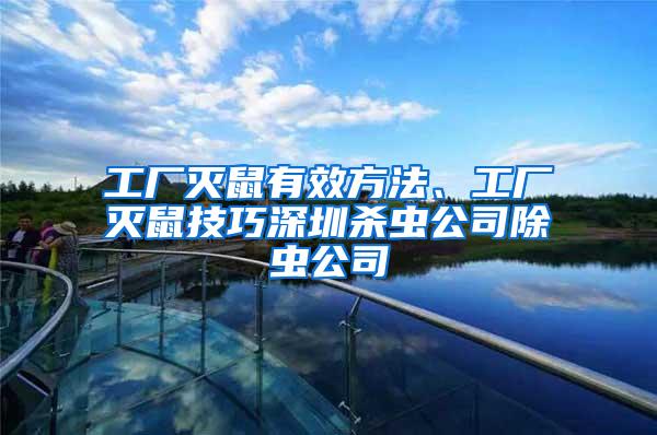 工廠滅鼠有效方法、工廠滅鼠技巧深圳殺蟲公司除蟲公司