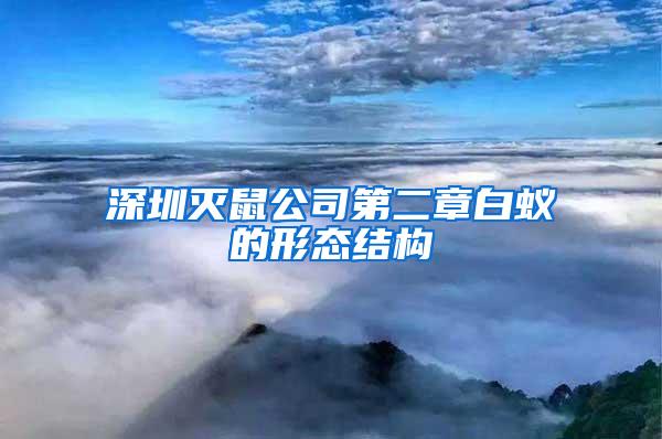 深圳滅鼠公司第二章白蟻的形態(tài)結(jié)構(gòu)