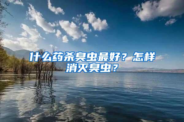 什么藥殺臭蟲最好？怎樣消滅臭蟲？