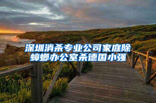 深圳消殺專業(yè)公司家庭除蟑螂辦公室殺德國小強(qiáng)