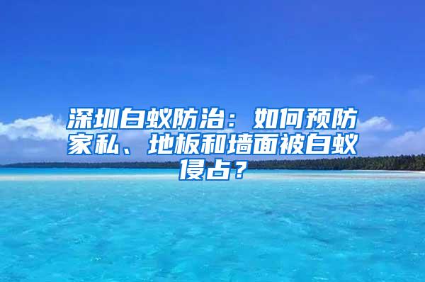 深圳白蟻防治：如何預(yù)防家私、地板和墻面被白蟻侵占？