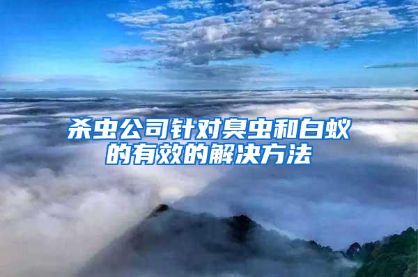 殺蟲公司針對(duì)臭蟲和白蟻的有效的解決方法