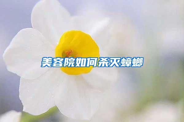 美容院如何殺滅蟑螂