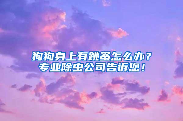 狗狗身上有跳蚤怎么辦？專業(yè)除蟲公司告訴您！