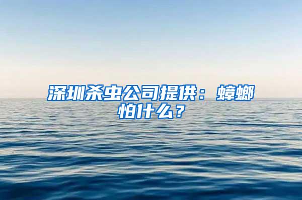 深圳殺蟲公司提供：蟑螂怕什么？