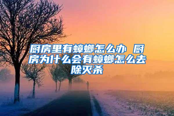 廚房里有蟑螂怎么辦 廚房為什么會有蟑螂怎么去除滅殺