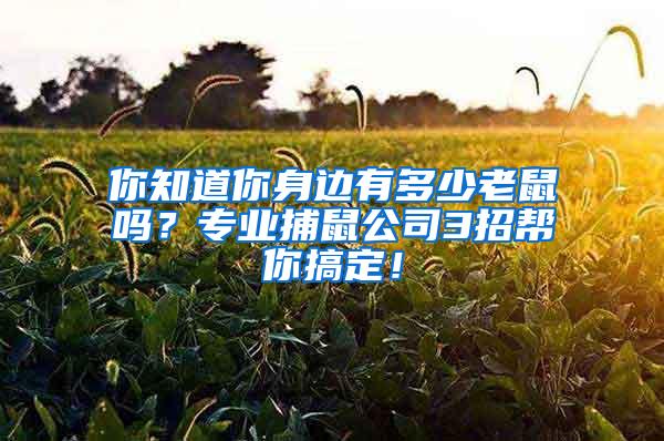 你知道你身邊有多少老鼠嗎？專業(yè)捕鼠公司3招幫你搞定！