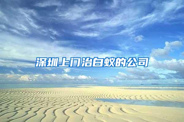 深圳上門(mén)治白蟻的公司