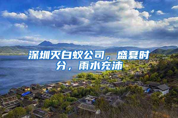 深圳滅白蟻公司，盛夏時分，雨水充沛