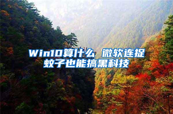 Win10算什么 微軟連捉蚊子也能搞黑科技