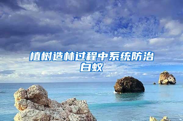 植樹造林過程中系統(tǒng)防治白蟻