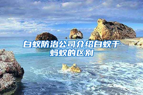 白蟻防治公司介紹白蟻于螞蟻的區(qū)別