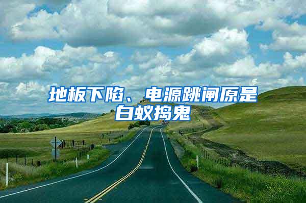 地板下陷、電源跳閘原是白蟻搗鬼