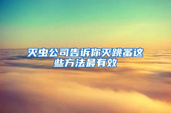 滅蟲(chóng)公司告訴你滅跳蚤這些方法最有效