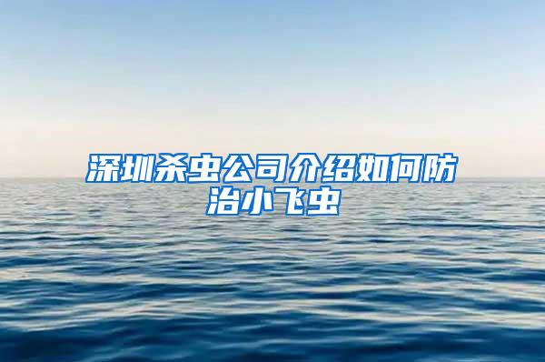 深圳殺蟲公司介紹如何防治小飛蟲