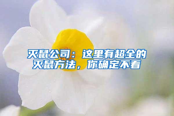 滅鼠公司：這里有超全的滅鼠方法，你確定不看