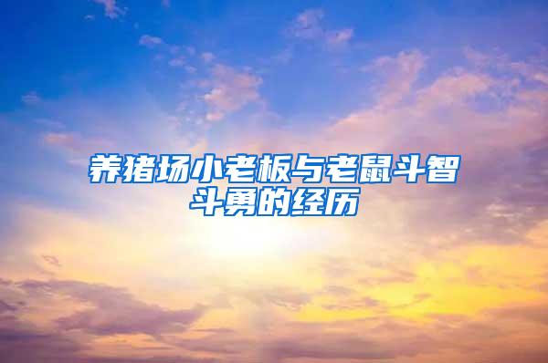 養(yǎng)豬場小老板與老鼠斗智斗勇的經歷