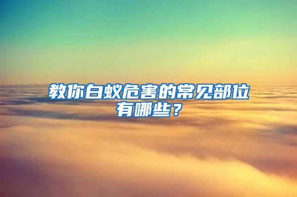 教你白蟻危害的常見部位有哪些？