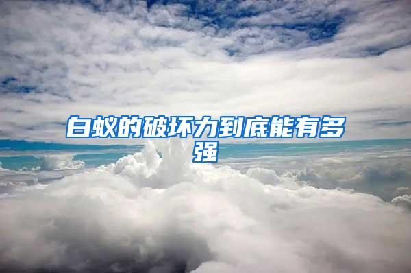 白蟻的破壞力到底能有多強(qiáng)