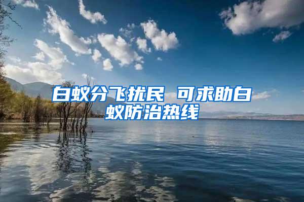 白蟻分飛擾民 可求助白蟻防治熱線