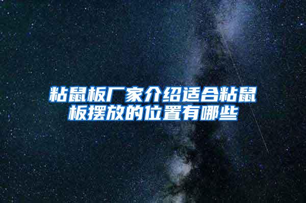 粘鼠板廠家介紹適合粘鼠板擺放的位置有哪些