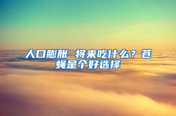 人口膨脹 將來吃什么？蒼蠅是個好選擇