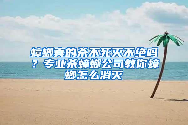 蟑螂真的殺不死滅不絕嗎？專業(yè)殺蟑螂公司教你蟑螂怎么消滅