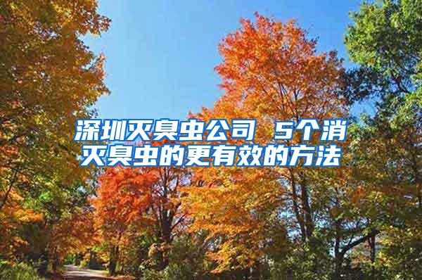 深圳滅臭蟲(chóng)公司 5個(gè)消滅臭蟲(chóng)的更有效的方法