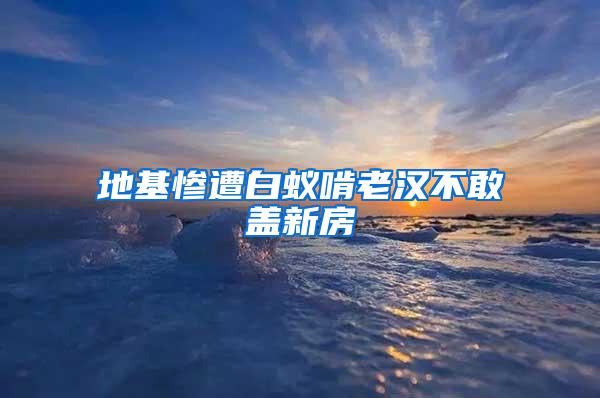 地基慘遭白蟻啃老漢不敢蓋新房