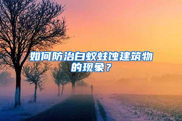 如何防治白蟻蛀蝕建筑物的現象？