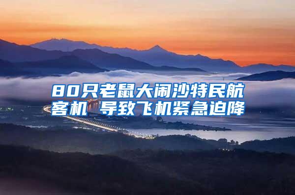 80只老鼠大鬧沙特民航客機 導致飛機緊急迫降