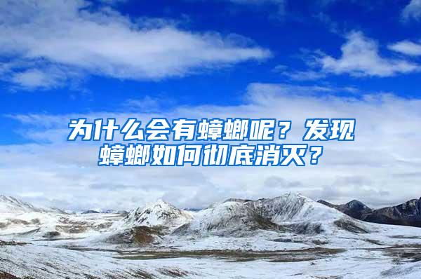 為什么會(huì)有蟑螂呢？發(fā)現(xiàn)蟑螂如何徹底消滅？