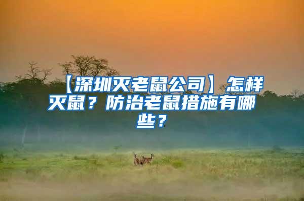 【深圳滅老鼠公司】怎樣滅鼠？防治老鼠措施有哪些？