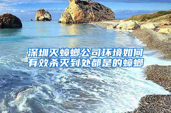 深圳滅蟑螂公司環(huán)境如何有效殺滅到處都是的蟑螂