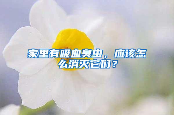 家里有吸血臭蟲，應(yīng)該怎么消滅它們？