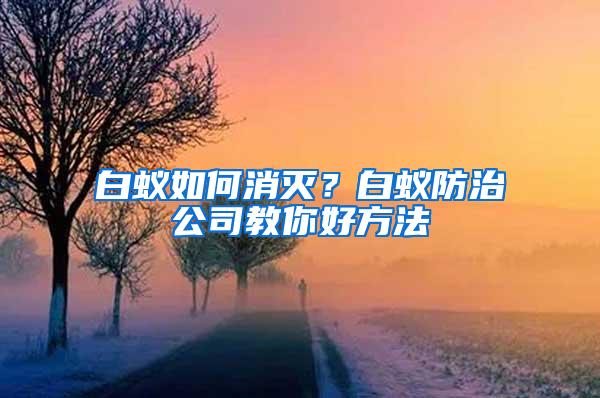 白蟻如何消滅？白蟻防治公司教你好方法