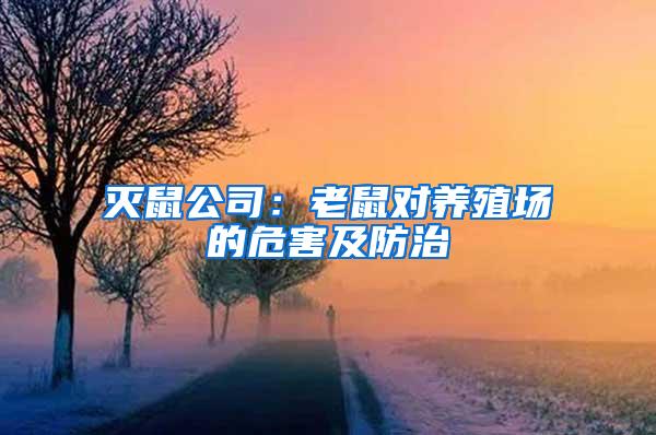 滅鼠公司：老鼠對(duì)養(yǎng)殖場(chǎng)的危害及防治