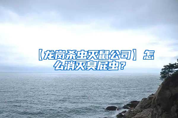 【龍崗殺蟲滅鼠公司】怎么消滅臭屁蟲？