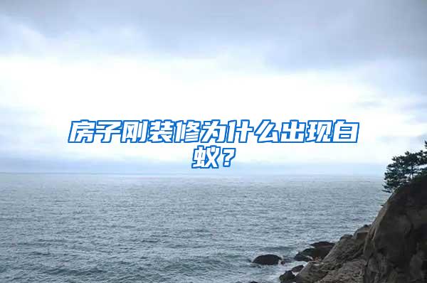 房子剛裝修為什么出現(xiàn)白蟻？