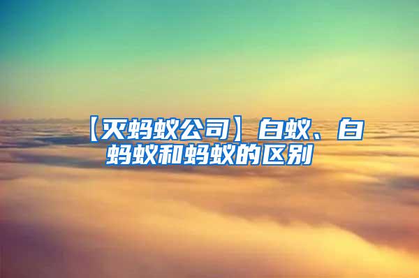 【滅螞蟻公司】白蟻、白螞蟻和螞蟻的區(qū)別