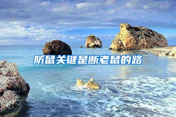 防鼠關(guān)鍵是斷老鼠的路