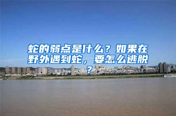 蛇的弱點(diǎn)是什么？如果在野外遇到蛇，要怎么逃脫？