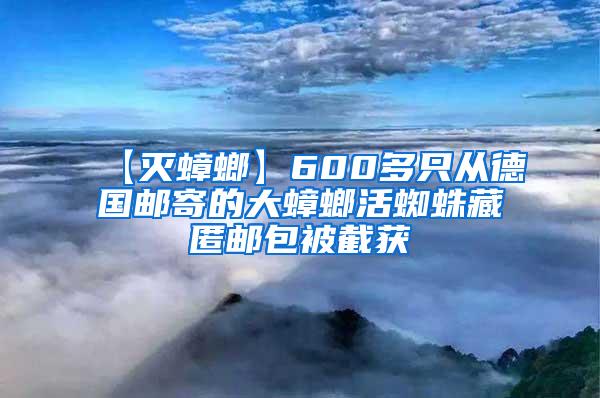 【滅蟑螂】600多只從德國郵寄的大蟑螂活蜘蛛藏匿郵包被截獲